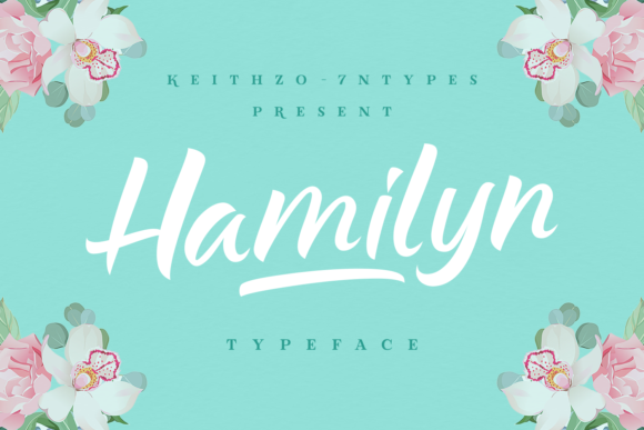 Boost Your Campaigns with the Hamilyn Typeface