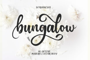 Bungalow: A Modern Script Font for Editorial Elegance