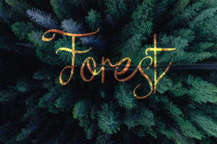 Forest Font: Elevate Your Brand with Natural Typography