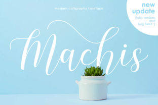 Machis Font: A Premium Script for Strong Brand Identity