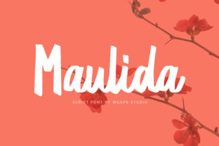 Maulida Font: Elevating Campaign Clarity with Modern Script Elegance