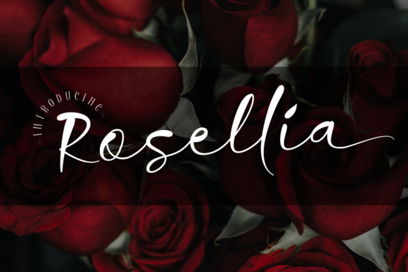 Rosellia Font: A Premium Typeface for Professional Branding