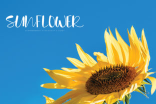 Sunflower Font: A Handwritten Typeface for Authentic Craft Designs