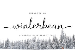 Winterbean: A Modern Script Font for Stronger Brand Content